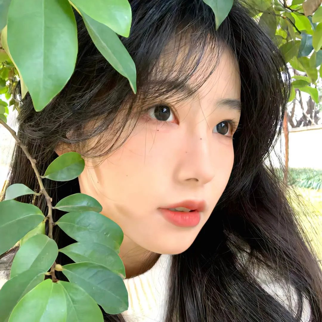 阿衰第二季